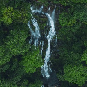 陽離子聚丙烯酰胺的化學(xué)性質(zhì)